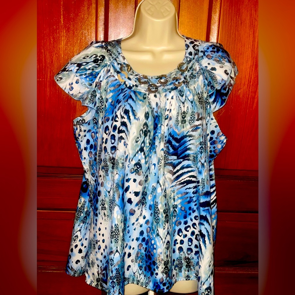 Lisa Joseph’s Plus Blue Short Sleeve Top. Size 1X